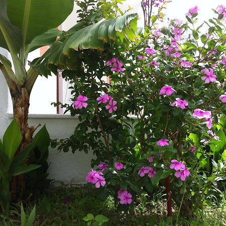 Flower Villa Apart Kemer Exterior foto